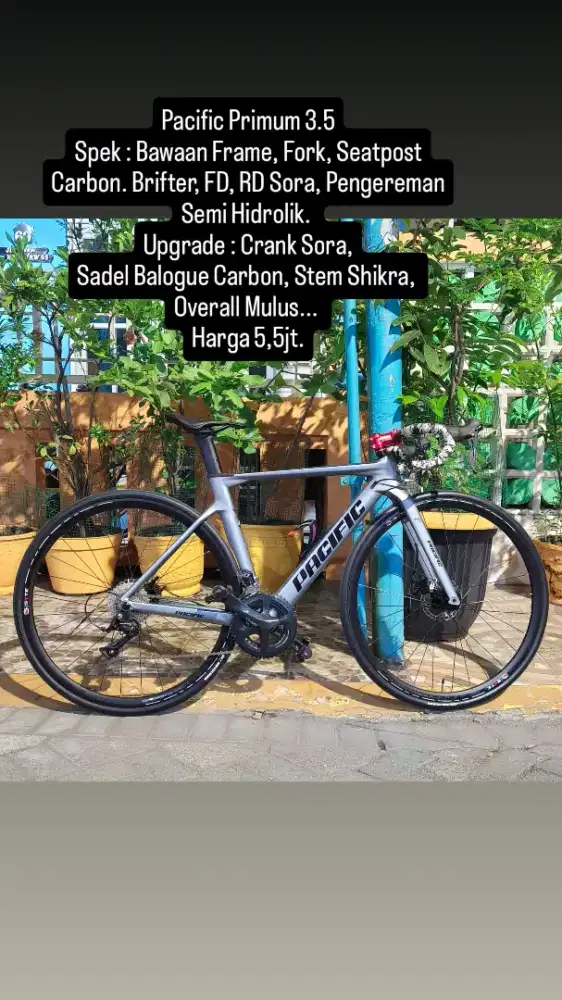 Sepeda Road Bike Pacific Primum 3.5 Carbon