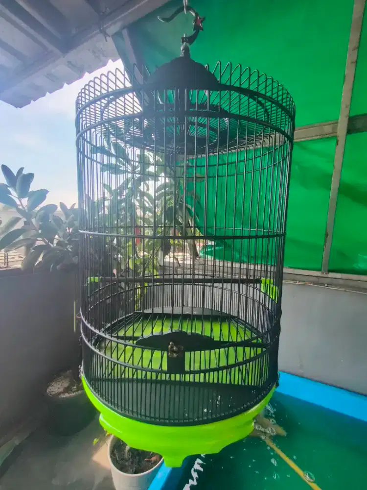 Kandang Sangkar Murai Medan Hutan Ruji Full Fiber No 2 Poksay Hongkong