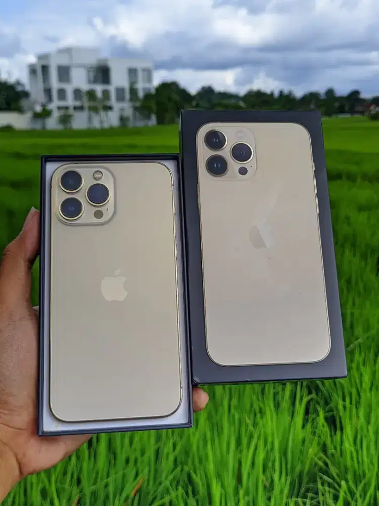 iPhone 13 Pro Max 256 GB iBox