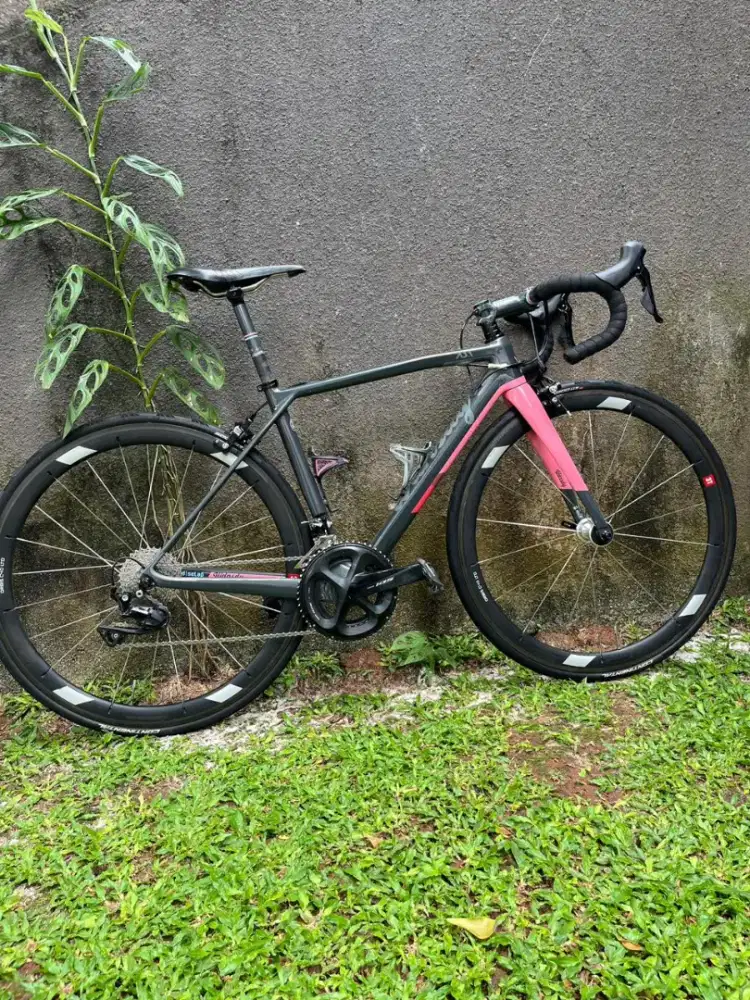 Sepeda Road bike Wdnsdy AJ1 Carbon Rimbrake