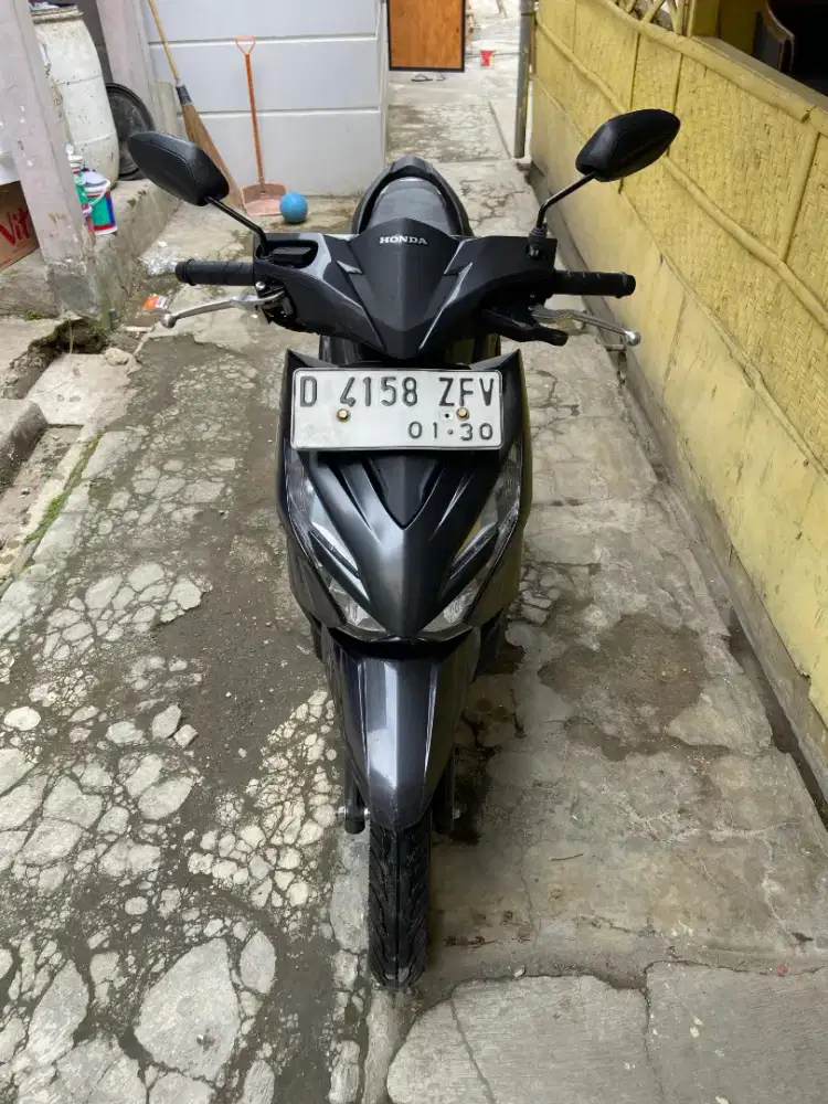 Beat deluxe 2024-2025