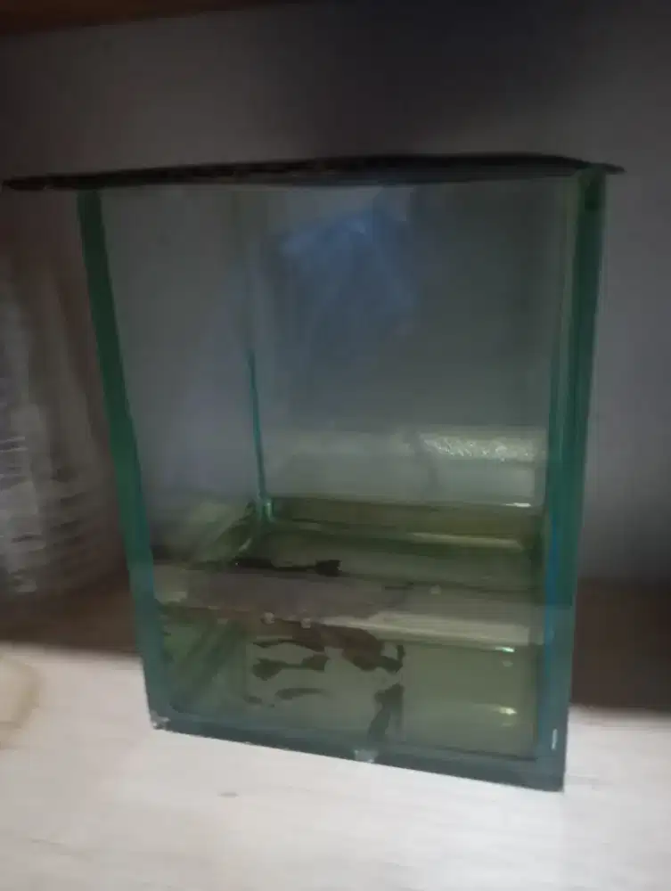 Aquarium bekas dapat 4 bonus 1 panjang