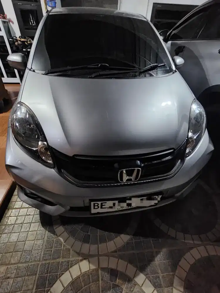 Brio e satya manual 2018