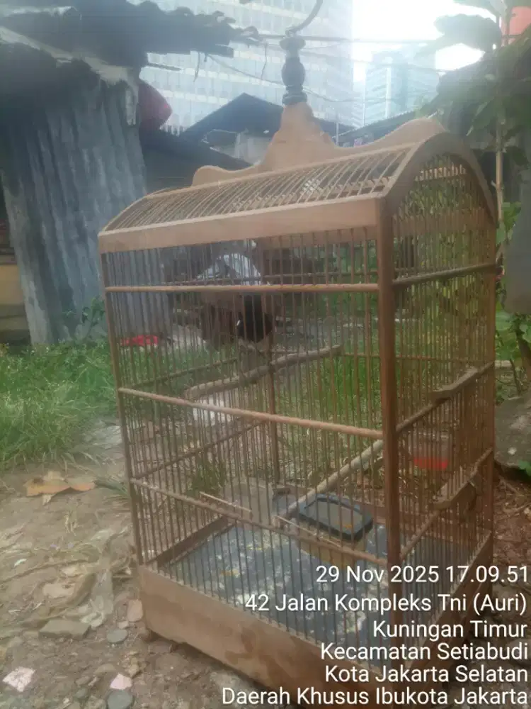 Jual santai sambil ngopi