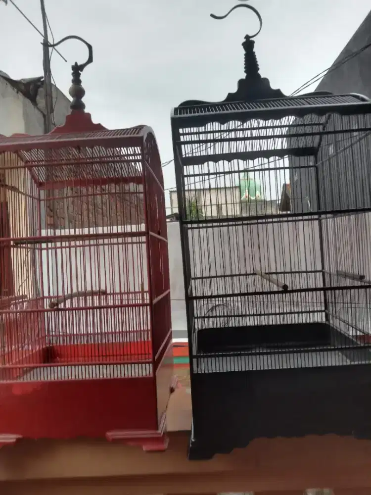 Sangkar kosan uk 40x40