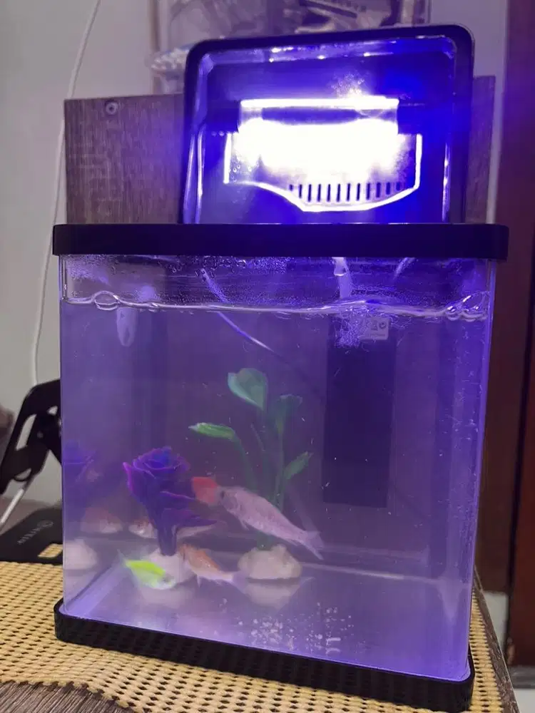 AQUARIUM MINI SET 4L