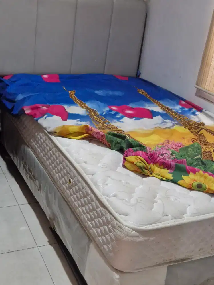 Springbed plus dipan