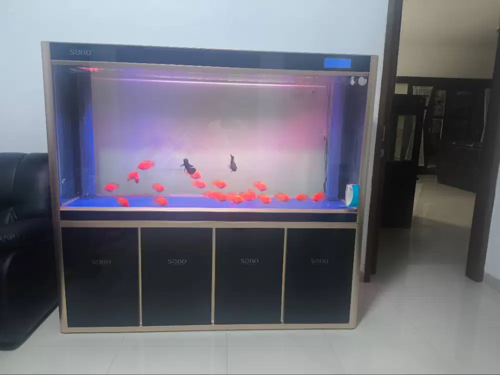 DI JUAL AQUARIUM BEKAS...