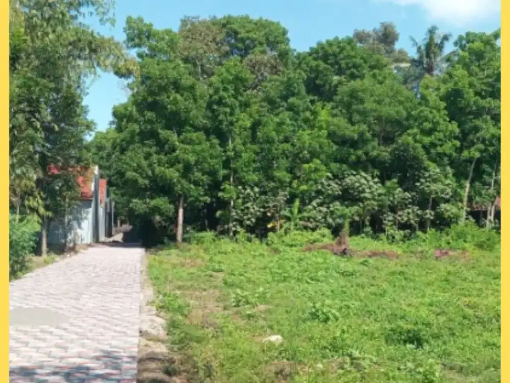 Tanah 3 Menit Dari Kampus UII Kaliurang Jogja