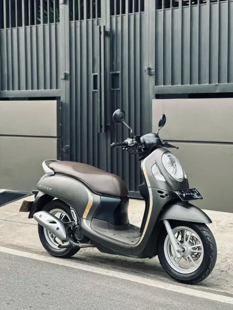 Scoopy tipe tirtingi