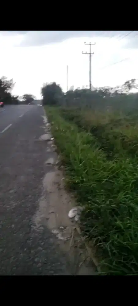 Tanah Murah 9 ha Lampung Tengah