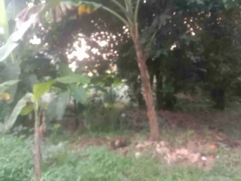 Dijual Murah Tanah Dekat Kampus UI dan Stasiun KRL Depok