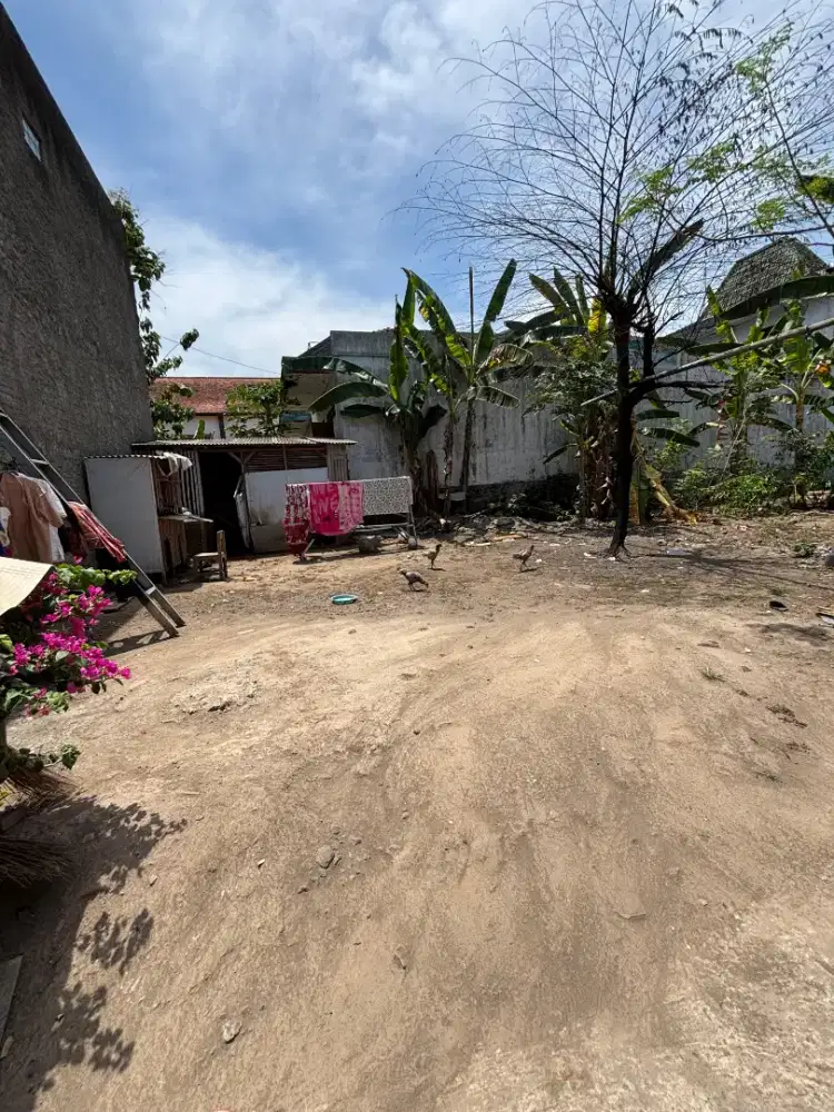 Dijual Tanah Strategis di Bonyokan, Jatinom Harga Terbaik! Akses Mudah