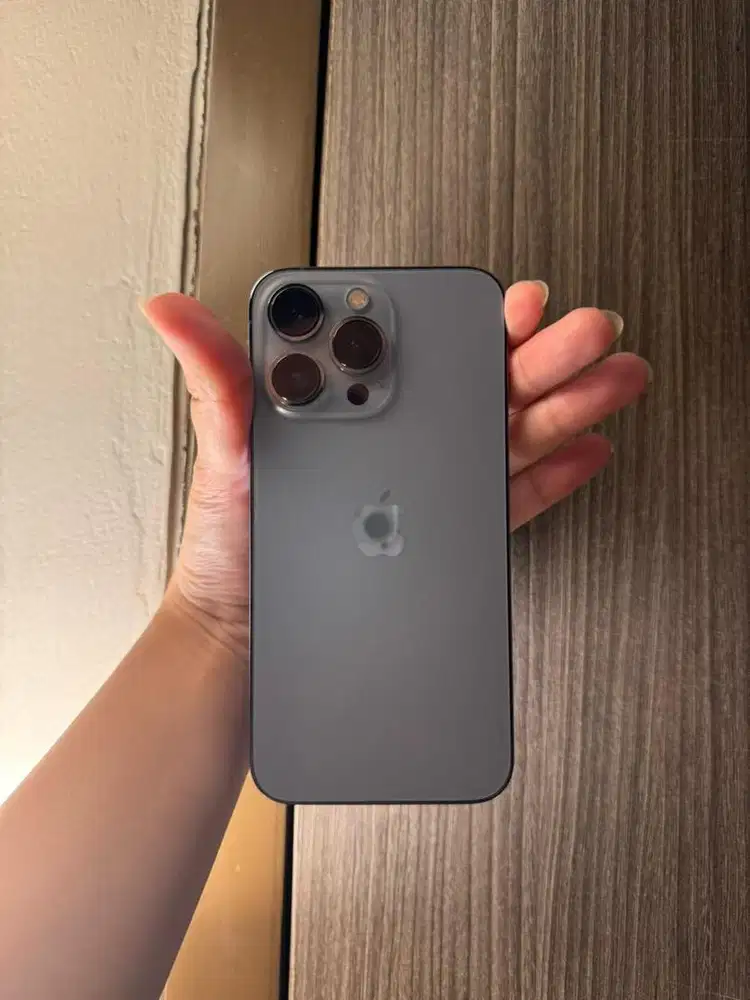 IPhone 13 Pro bekas