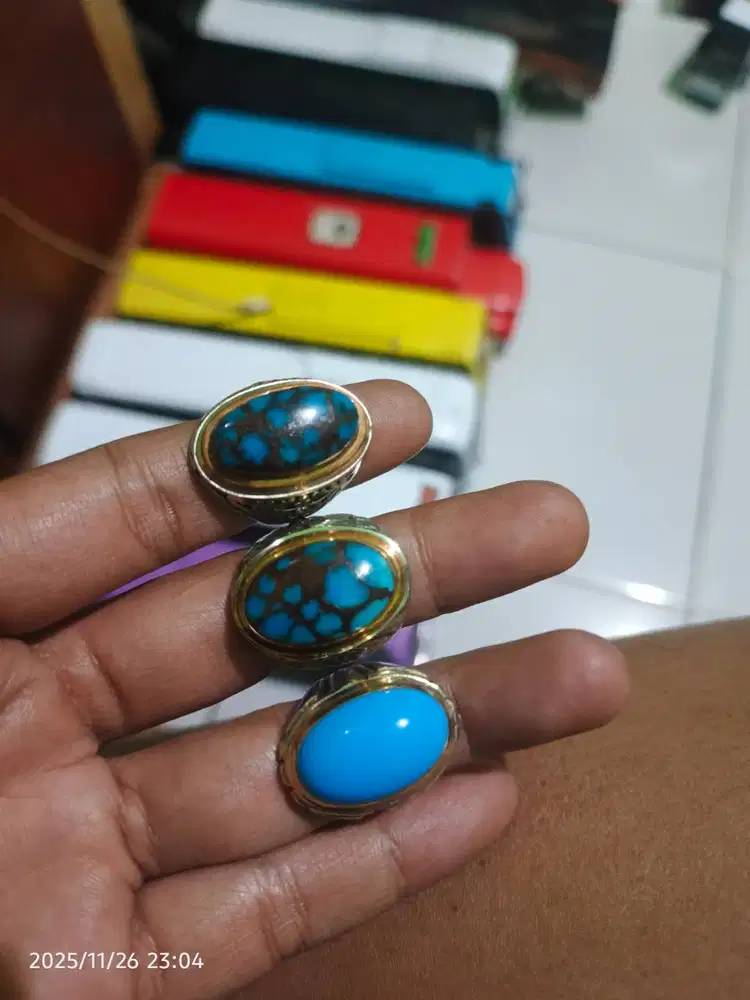 BU di Borong pirus mesir urat merah+polosan