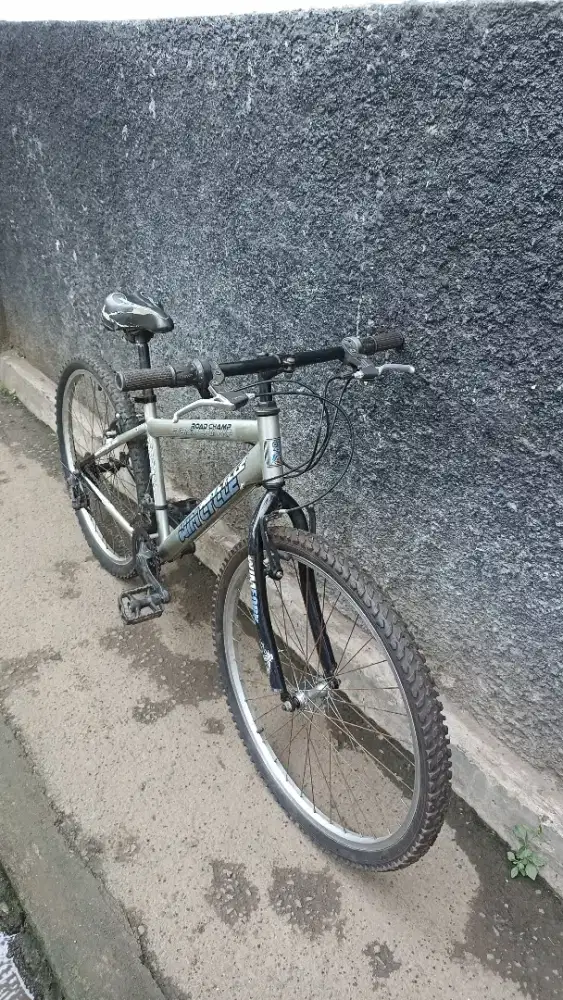 Sepeda wimcycle 26 inc