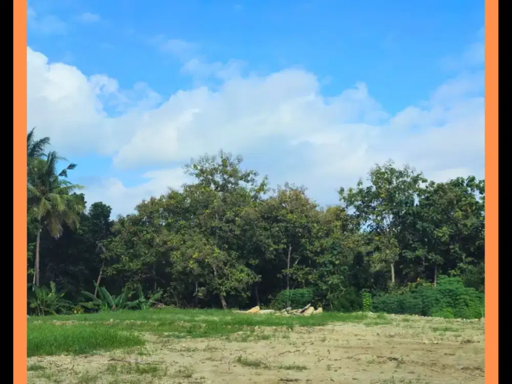 Tanah Strategis Gamping Jogja – Dekat Ring Road & Fasilitas Umum