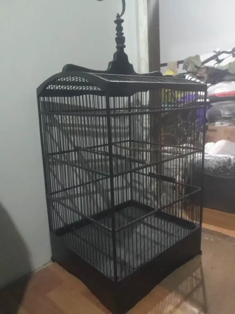 Sangkar burung kenari nominus