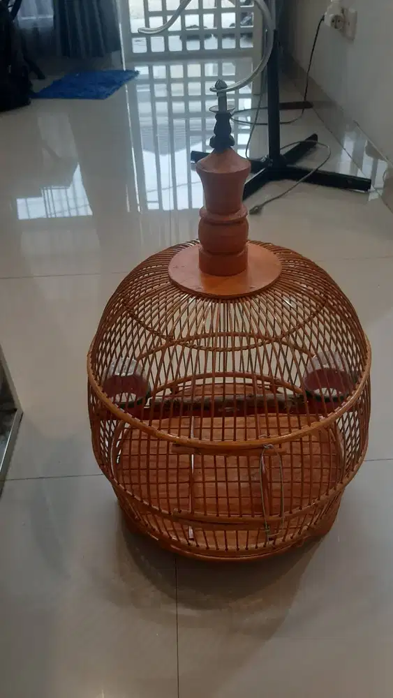 Kandang burung perkutut minion bekas