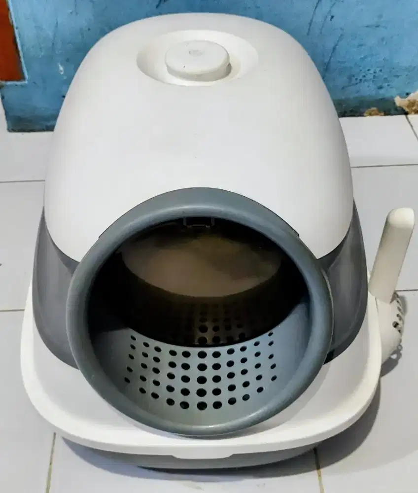 Litter box kucing