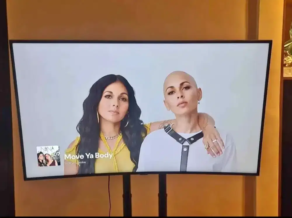 Samsung curve 48inc smart