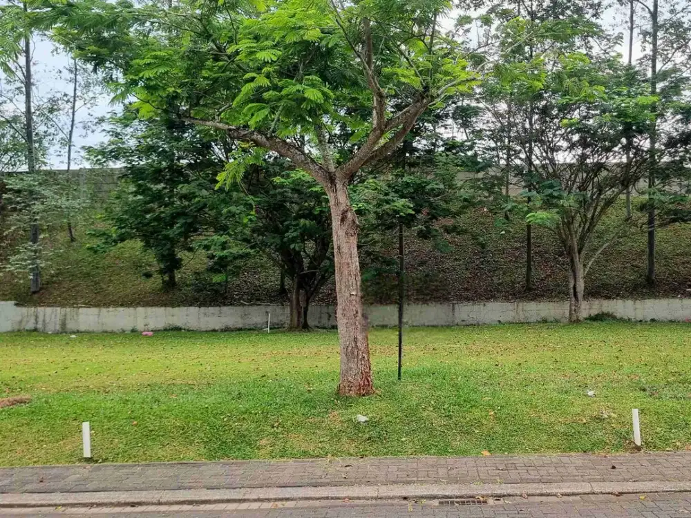 Bisa KPT / Cicil 12x Kavling Kotak Hadap Timur Di Azura Vanya Park Bsd City