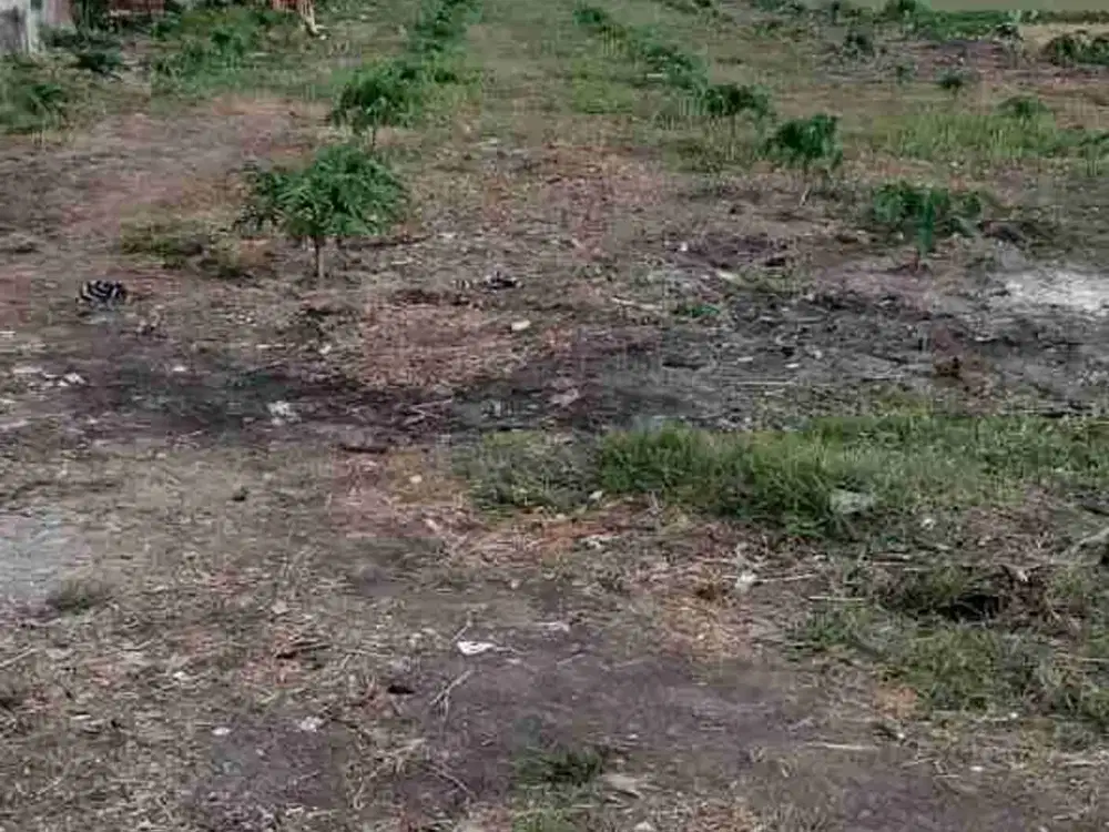 DIJUAL CEPAT – TANAH SIAP BANGUN NGABEYAN KARTASURA LUAS 1980M2