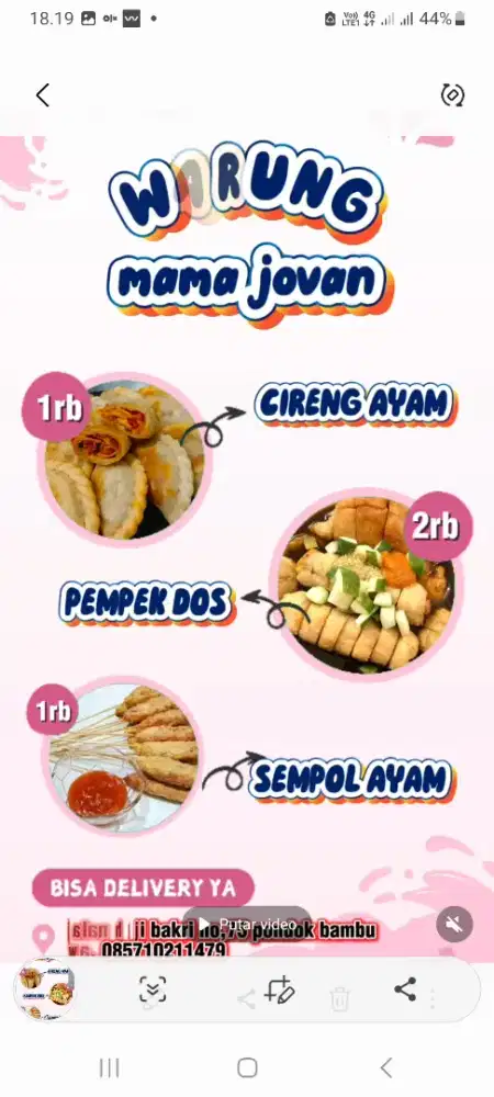 Frozen food sempol ayam,cireng,pempek