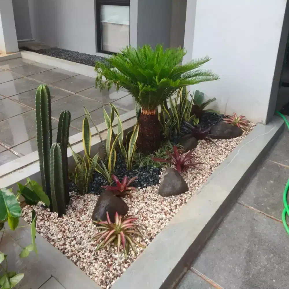 Pembuatan taman #tamanminimalis