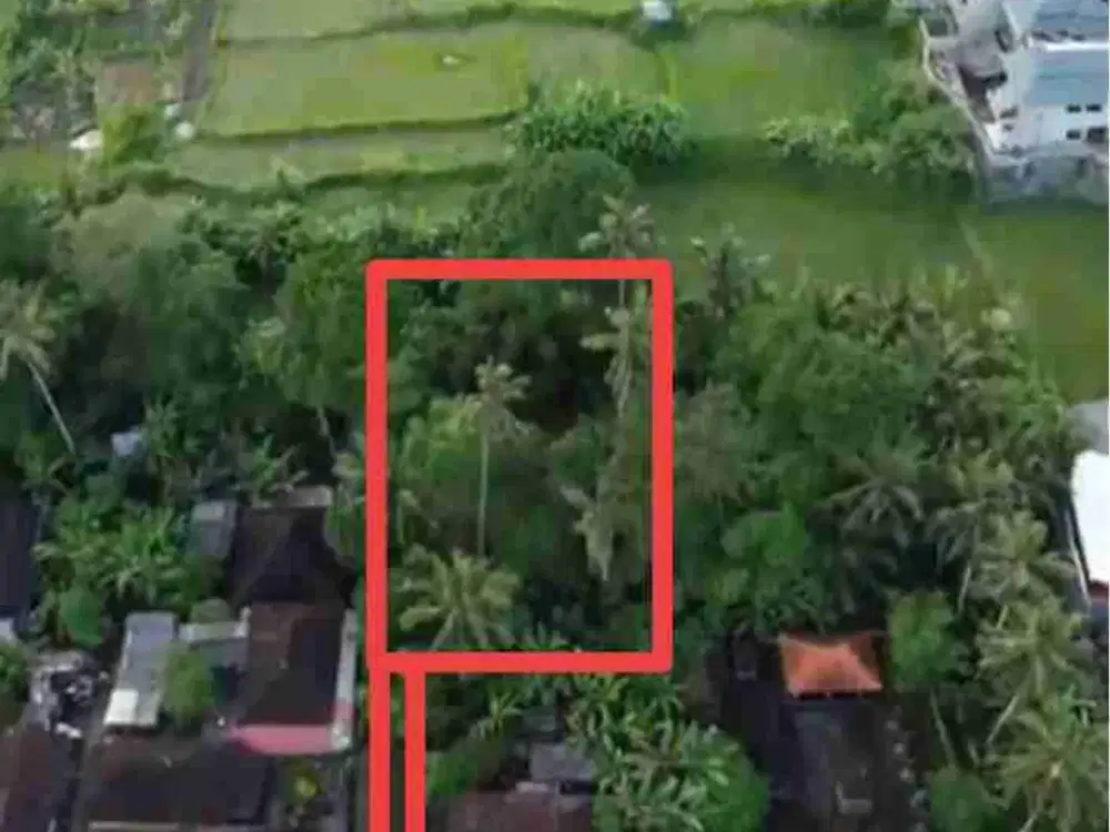 Yellow Zone Land only 5 minutes to Empathy School Bali