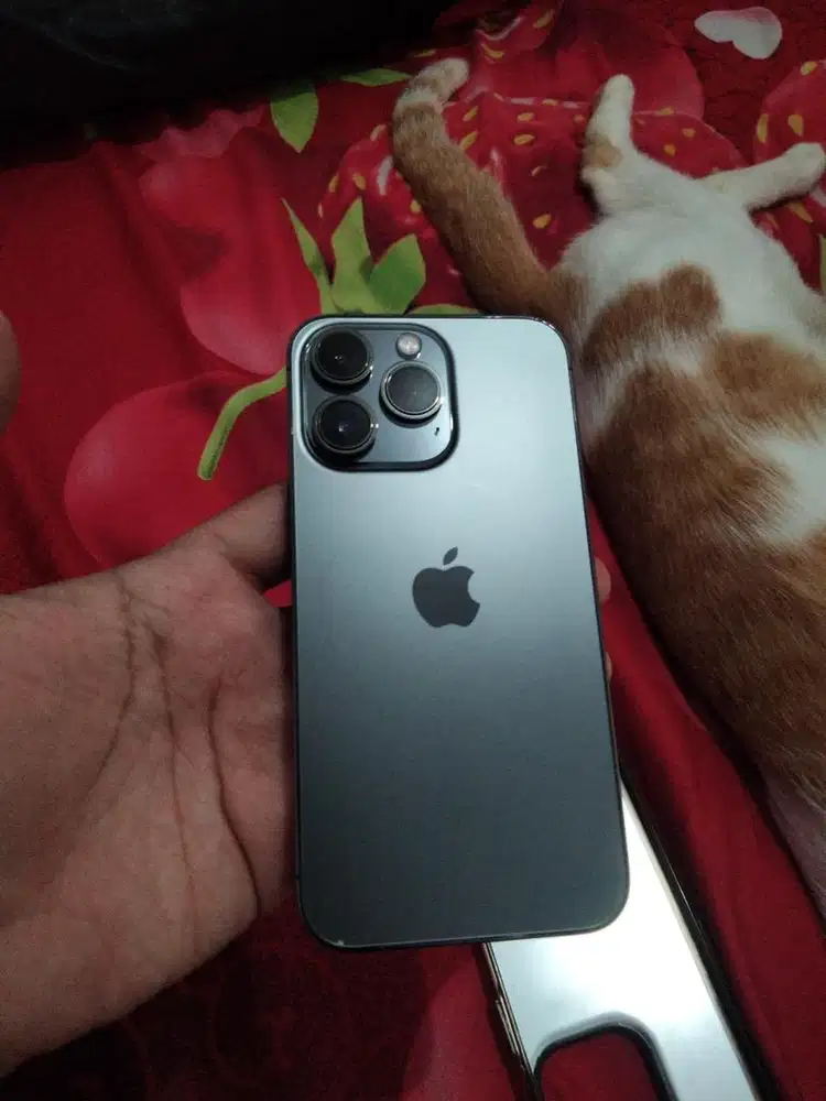 IPHONE 13 PRO 128 GB INTER (XL ONLY)