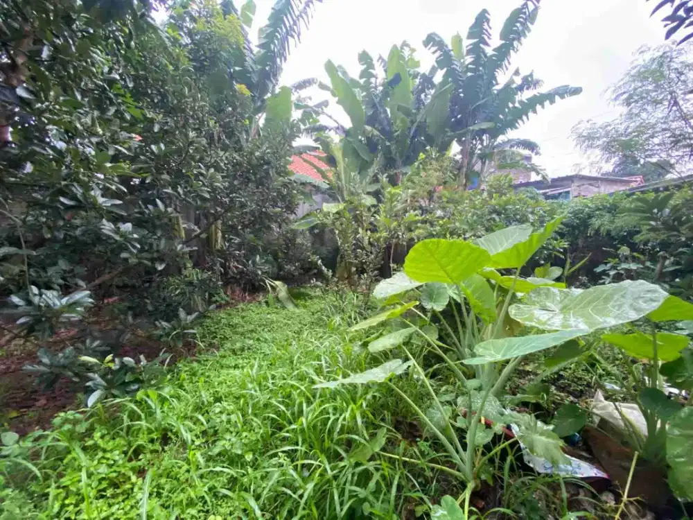 Dijual Murah Tanah di Bedahan Sawangan Depok Akses dekat stasiun KRL Citayam dan Tol Sawangan Depok