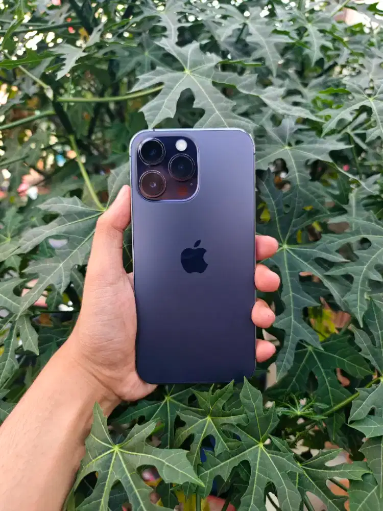 Iphone 14 pro max 256gb resmi beacukai