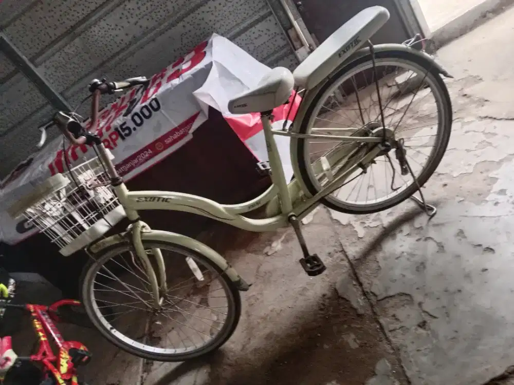 Sepeda santai orang dewasa exotic