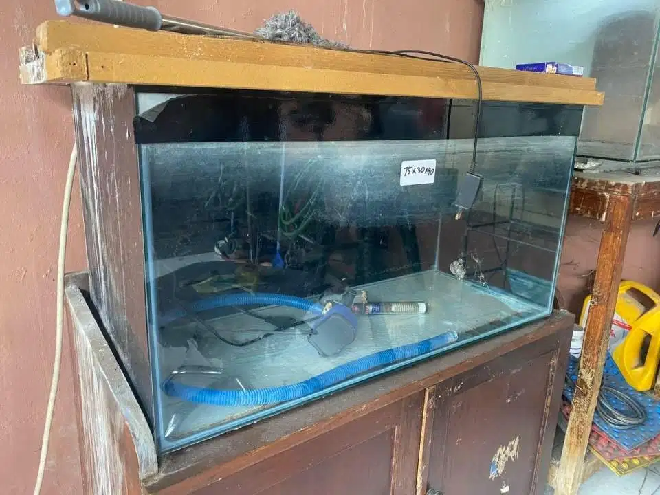 Aquarium Bekas Arwana