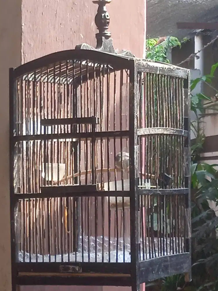 Prenjak Atas Prozpekan