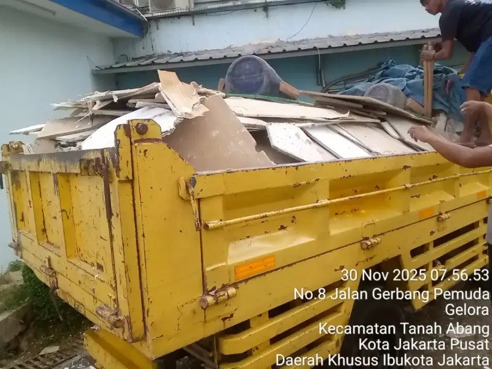 JASA BUANG PUING MURAH