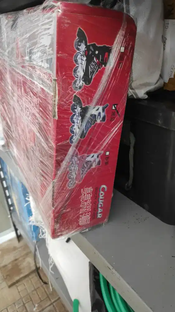 Inline skate ( sepatu roda )