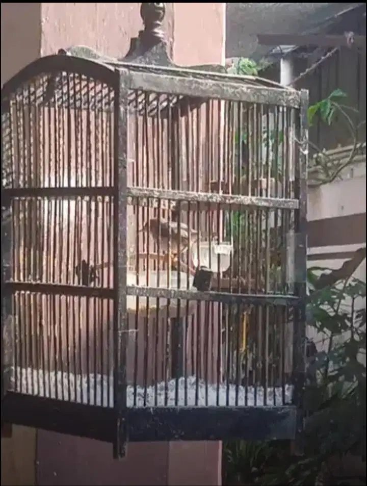 Prenjak Atas Prozpekan