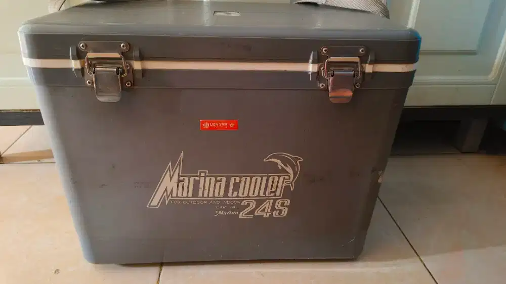 cooler box + ice pack