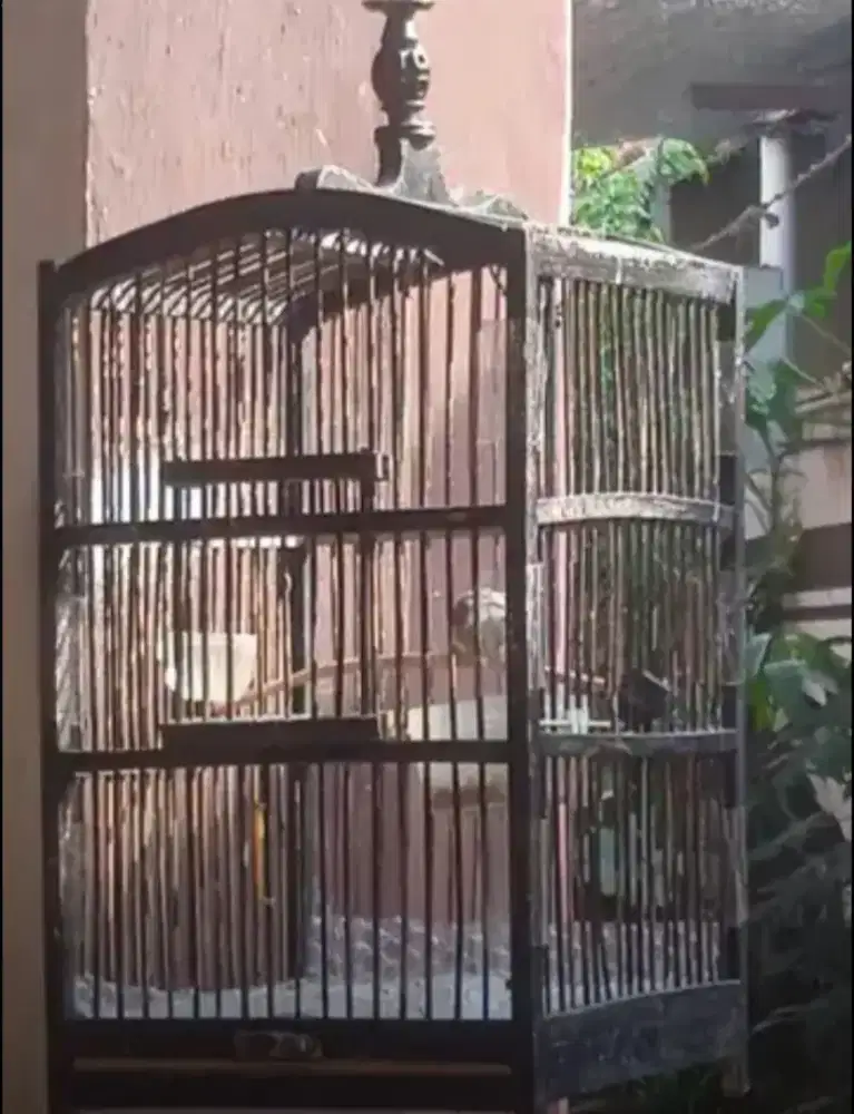 Prenjak Atas Prozpekan