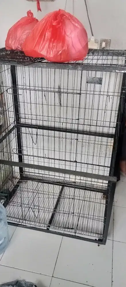 Kandang kucing jumbo besi kuat dan kokoh