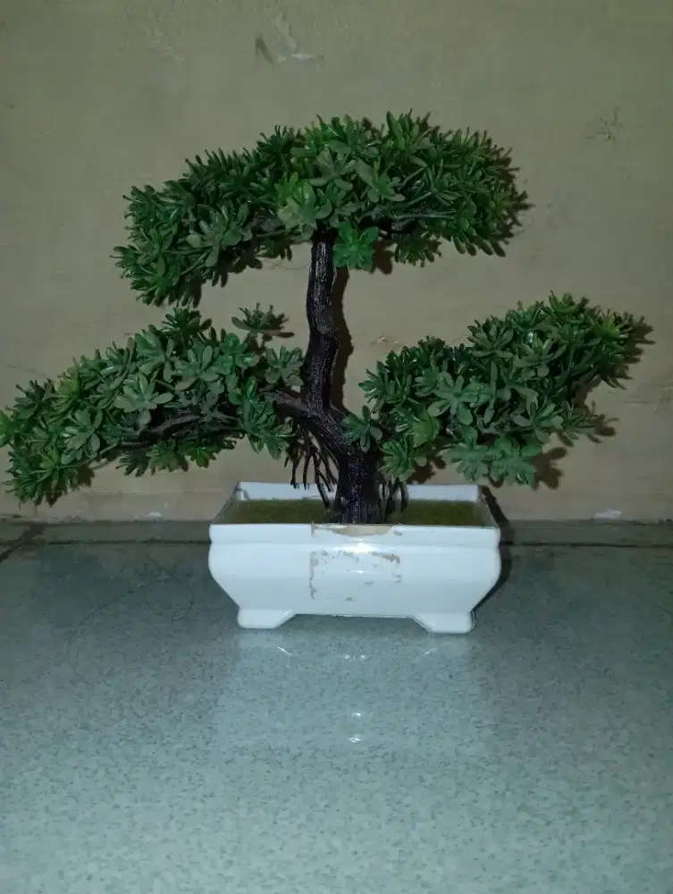 Bonsai Hias Mini – Cantik & Tanpa Perawatan!