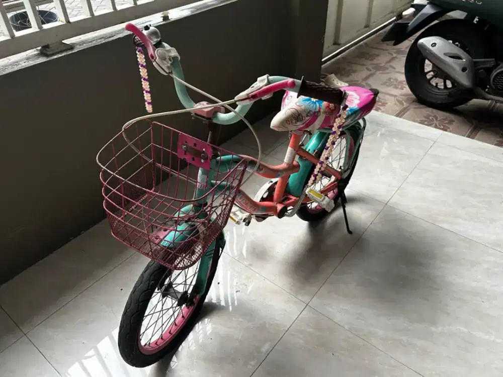 Jual Sepeda Anak
