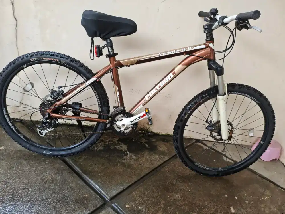 Sepeda polygon xtrada 4.0