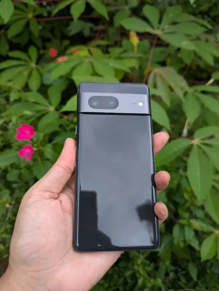 google pixel 7 rewrite