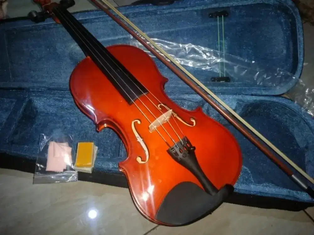 Violin Dluxe Preloved