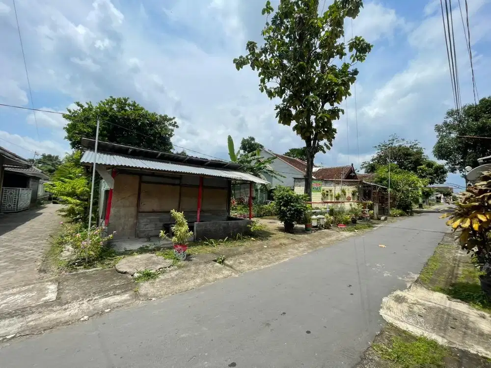 Tanah disewakan