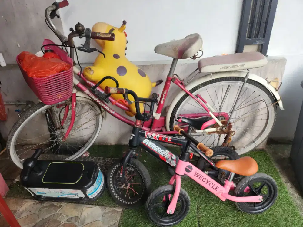 Dijual sepeda dewasa dan anak-anak apa adanya