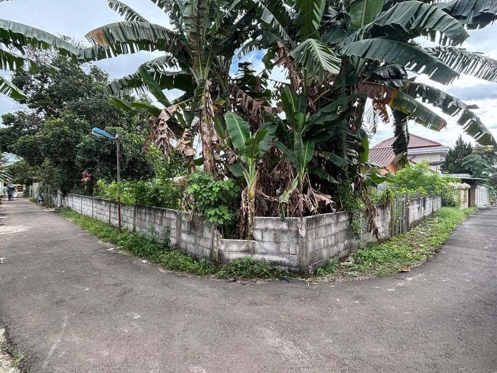 Dijual Cepat SHM Tanah Kosong 340 m2 jl.Sukadamai Indah Bogor - Solis